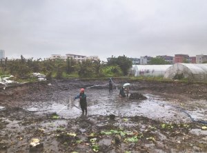 凤城河道鱼塘清淤